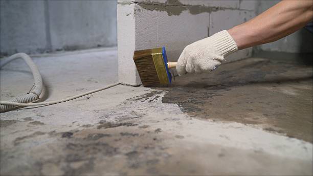24/7 Emergency Basement Waterproofing experts in Lincoln Park, NJ